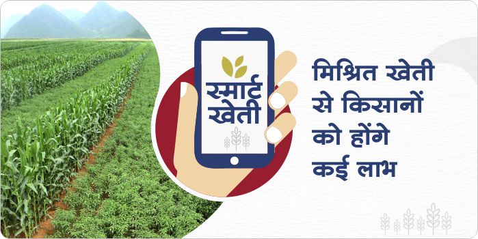 How is inter-cropping beneficial o farmers?