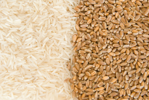 Central government will give concession on the prices of wheat and rice