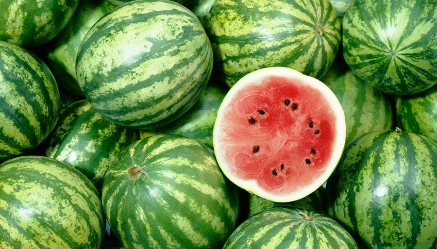 Watermelon is very beneficial in summer season