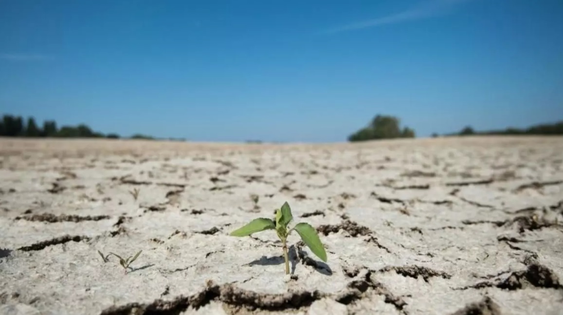 Better water management can overcome big water crisis hovering over the country