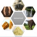 What is Jeevamrut, its benefits and method of use