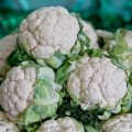 Know about Early Cauliflower improved varieties, seed rate, sowing time