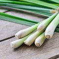 Lemon grass is beneficial for health