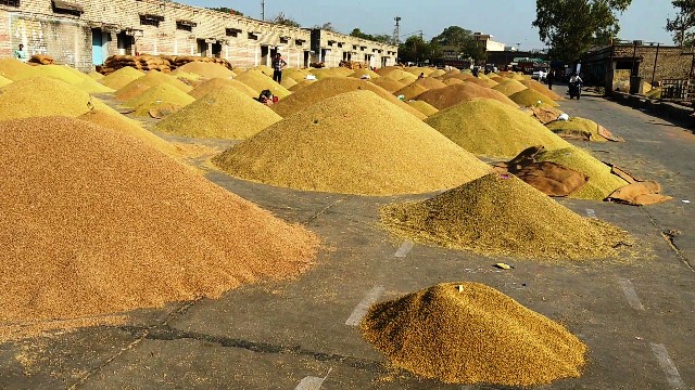 Private mandis will now open in Madhya Pradesh, farmers will benefit from this