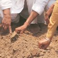 Sowing of same type of cotton seeds is not in the interest of farmers - Department of Agriculture