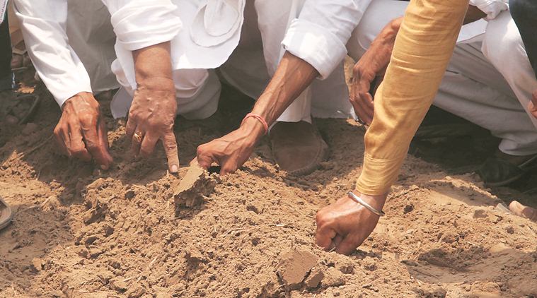 Sowing of same type of cotton seeds is not in the interest of farmers - Department of Agriculture