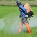 These precautions to be taken while using herbicide