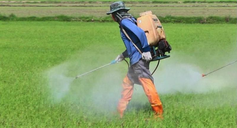 These precautions to be taken while using herbicide