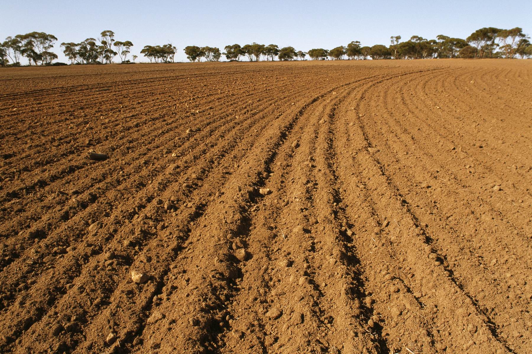 soil treatment