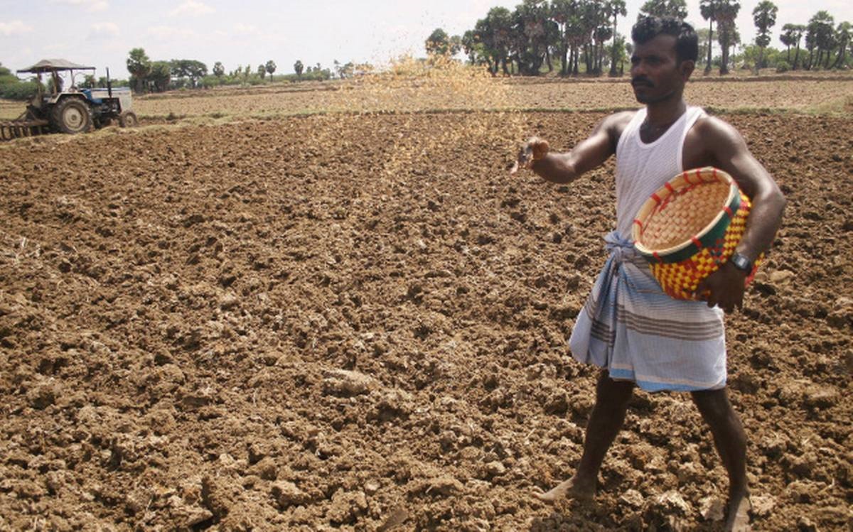 Fertilizer management at the time of sowing