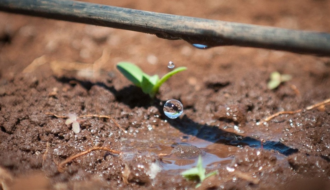 Government is giving 4 thousand crores rupees to farmers for promoting drip irrigation