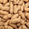 How to dig and storage Jayad Groundnut