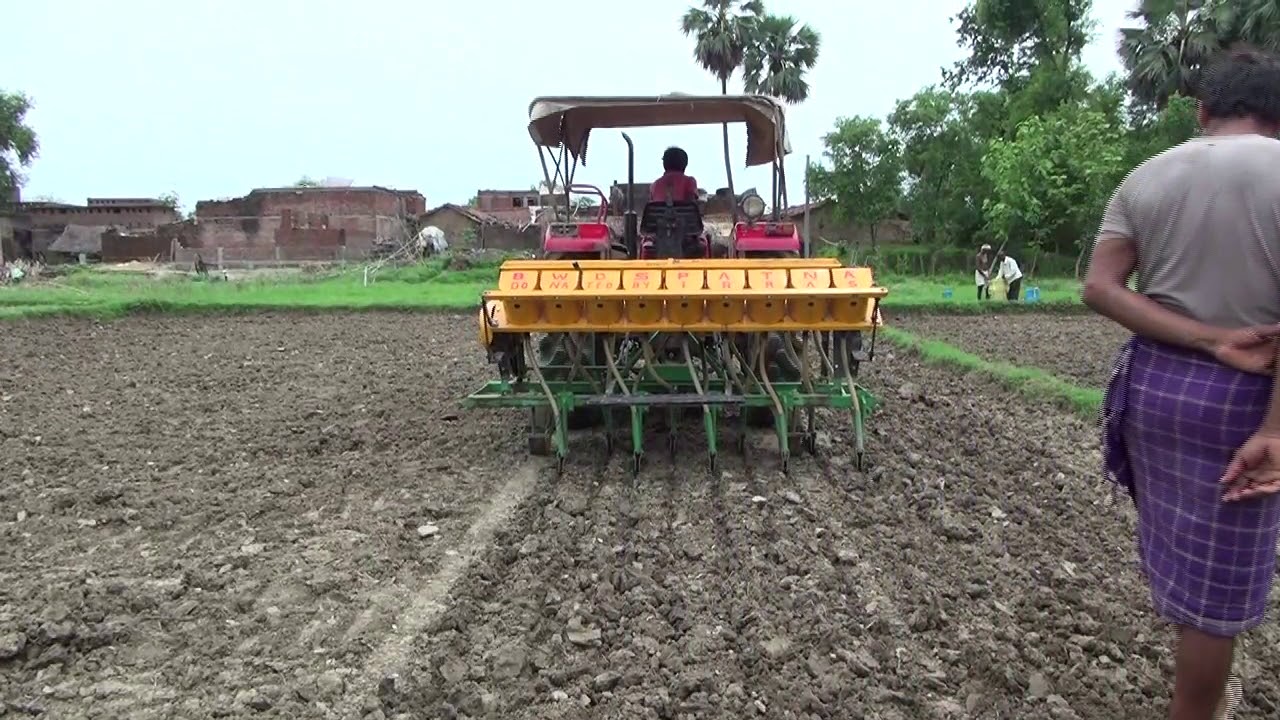 Importance of direct sowing of paddy or zero til