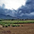 Monsoon rains are heavy in MP, it will continue to rain for the next 24 hours