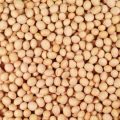 Seed Treatment in Soybean