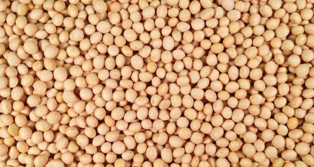 Seed Treatment in Soybean