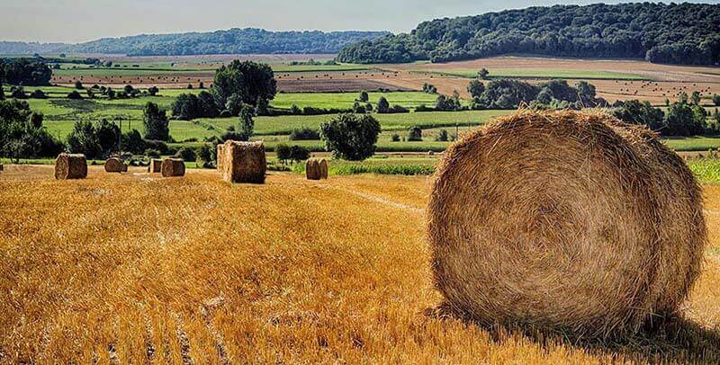 Use of Decomposers in open field