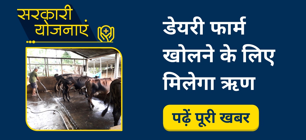 Loan is provided under the Dairy Entrepreneurship Development Scheme for opening a dairy farm