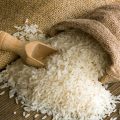 Basmati rice of Madhya Pradesh will get a GI tag