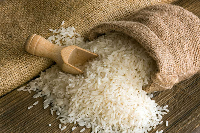 Basmati rice of Madhya Pradesh will get a GI tag