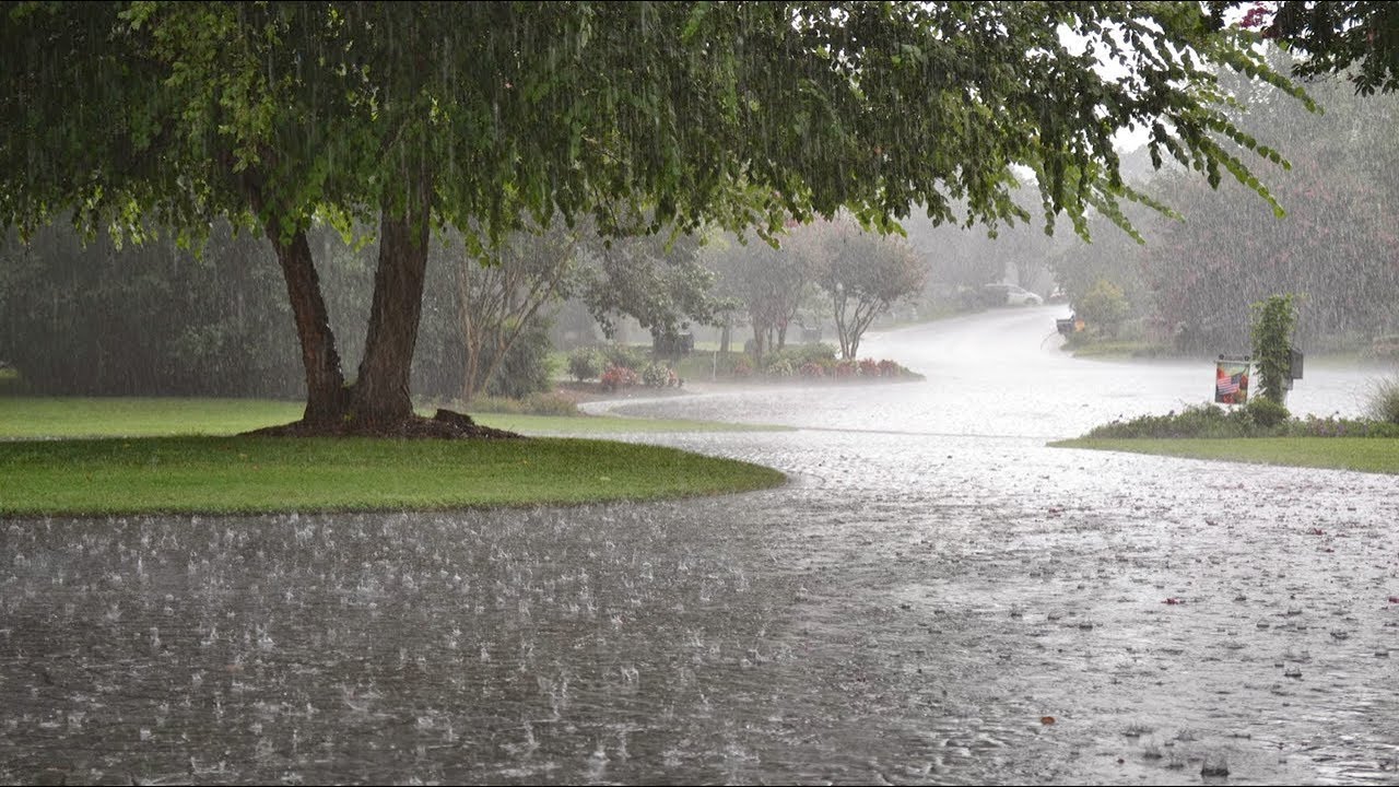 Heavy rains may occur in these states, Meteorological Department issued alert