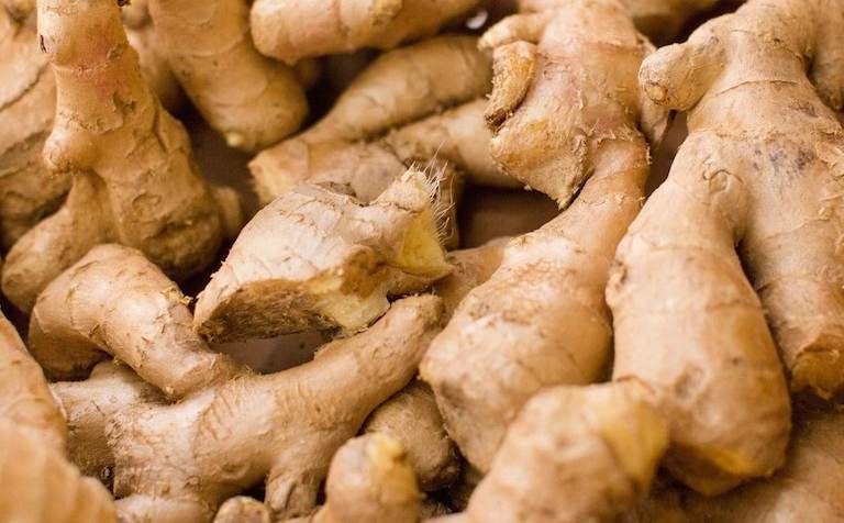 Rhizome Treatment in Ginger