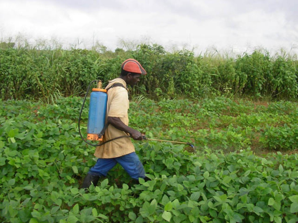 Spray management in soybean crop in 35-40 days