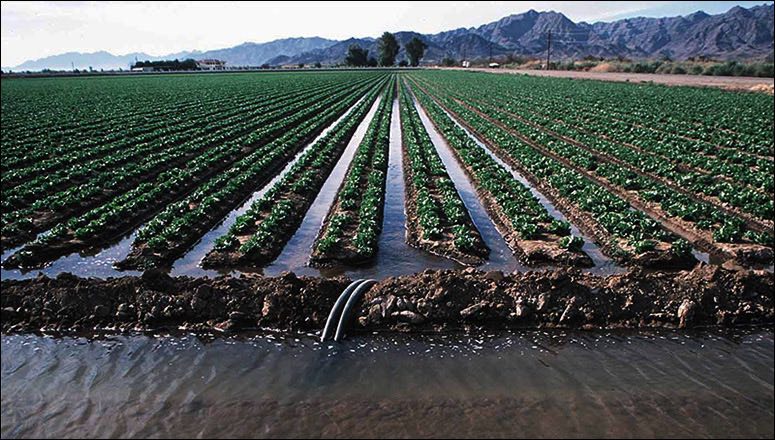 Water will be delivered to every inch of farmers' land, CM Shivraj announced