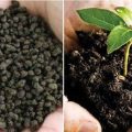 What is Biofertilizers