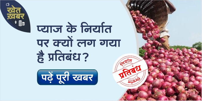 Central government imposes ban on export of all varieties of onion