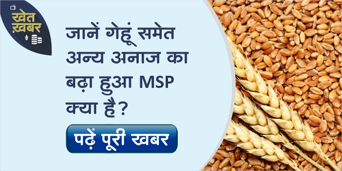 Good news for farmers, MSP has been increased for many crops including wheat