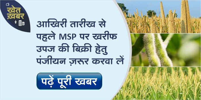 Registration begins for purchase of Kharif produce on support price in MP