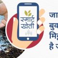 Importance of soil treatment before sowing of Rabi crops