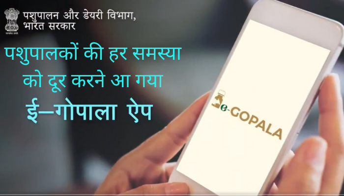 Government launches e-Gopala app to increase farmers' income from animal husbandry