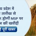 Farmers of MP will be able to sell paddy on MSP from this date, registration process is going on