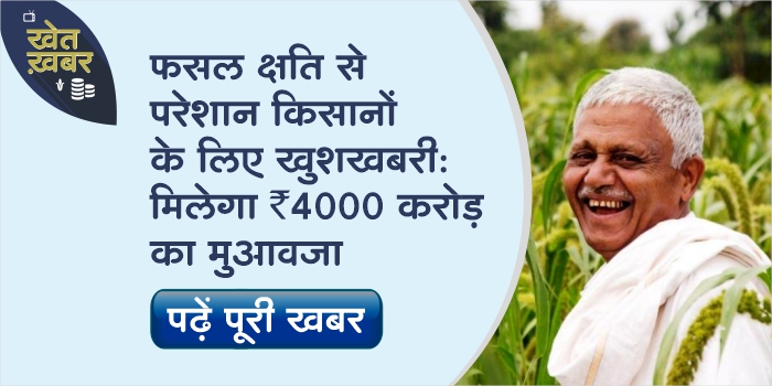 MP Government will give compensation of 4000 crores to farmers distressed due to weather