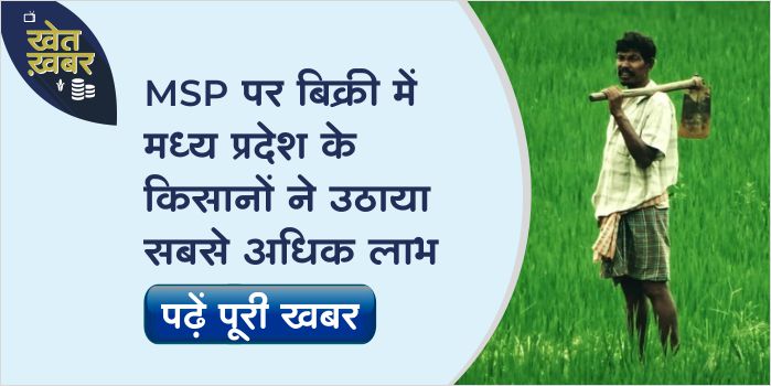 Madhya Pradesh leads in procurement of Rabi crops on MSP