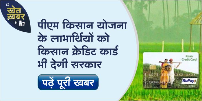 Kisan Credit Card will be available from PM Kisan Yojana, farmers will be able to get cheap loan