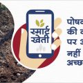 Nutrition management at the time of sowing in potato crop