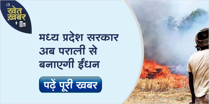 Fuel will be made from crop residues, Madhya Pradesh government is preparing