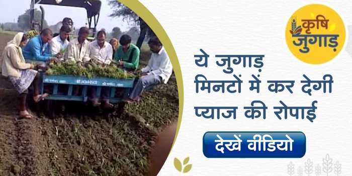 This machine made from jugaad will lead to transplanting of onions in a short time