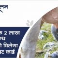 Kisan Credit Card to be given to 2 lakh 68 thousand milk producers of MP