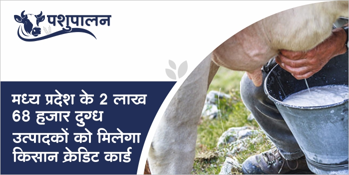 Kisan Credit Card to be given to 2 lakh 68 thousand milk producers of MP