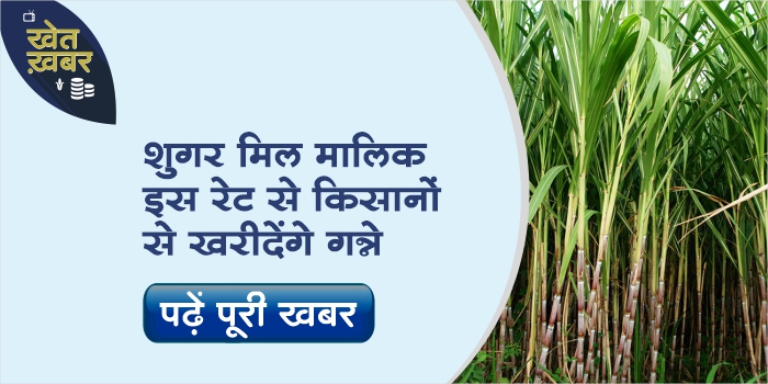 Sugar mill owners to buy sugarcane from farmers for Rs 285 per quintal