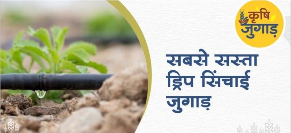 Do drip irrigation in this way at very low cost