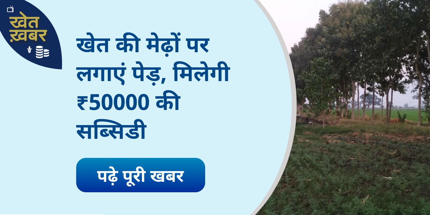 Farmers in MP will get Government subsidy for planting trees on the rams