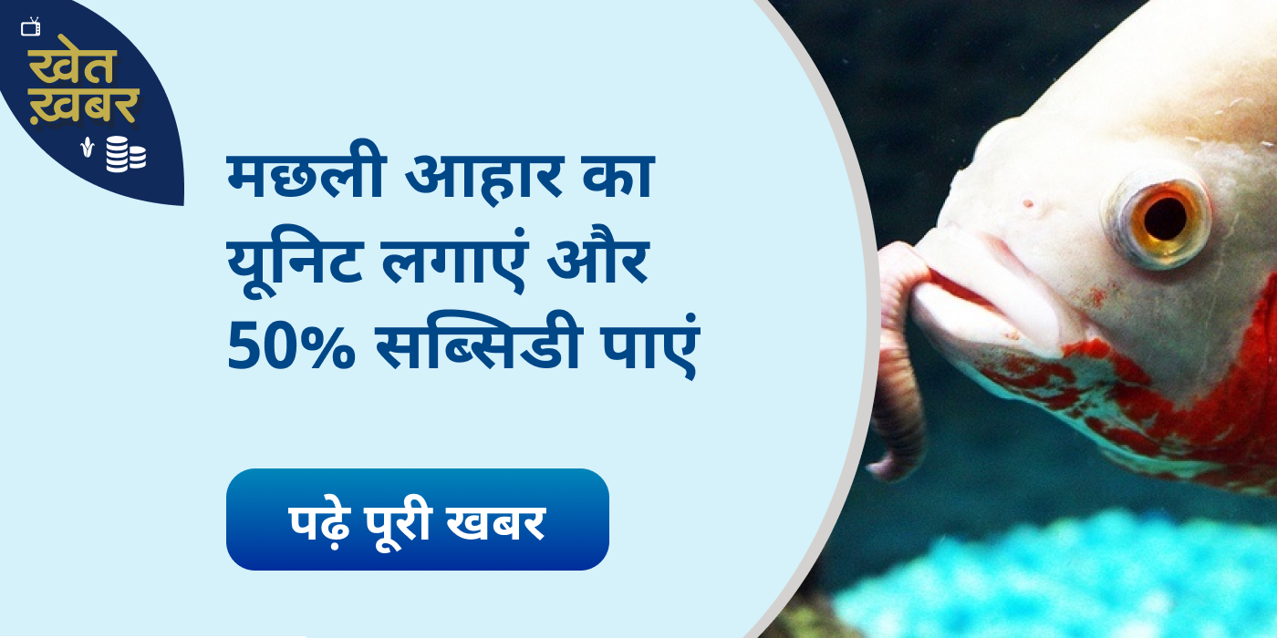 Now Do fish food business at 50% Government subsidy in MP