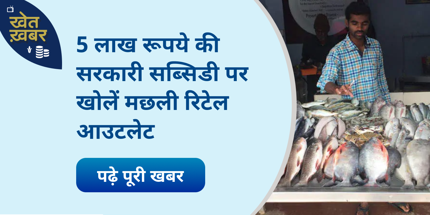 Government will give 50% subsidy to open fish retail outlet