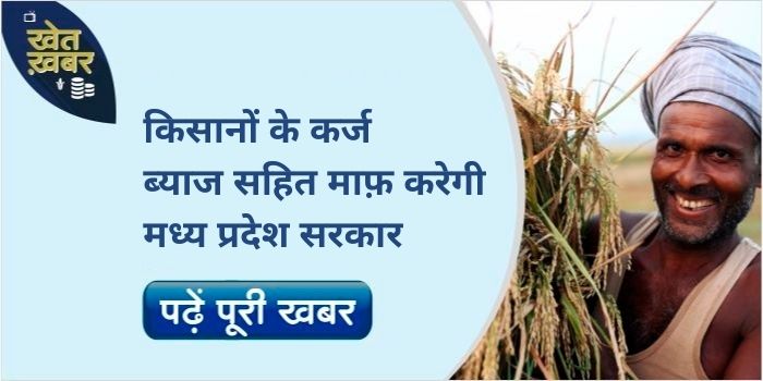 MP government will provide relief from debt with interest, these farmers will benefit