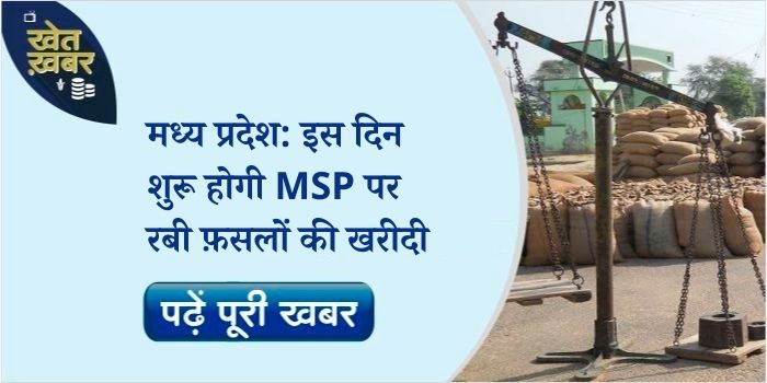 Farmers of MP will be able to sell their produce on MSP from this date